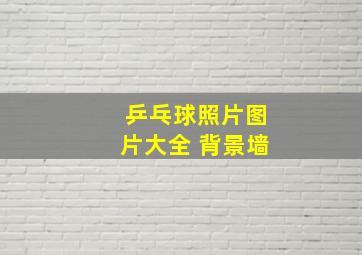 乒乓球照片图片大全 背景墙